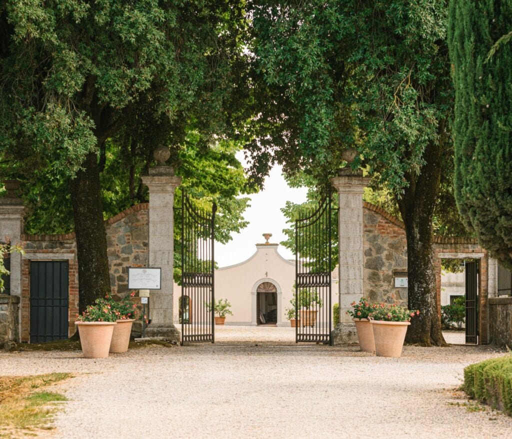 avignonesi