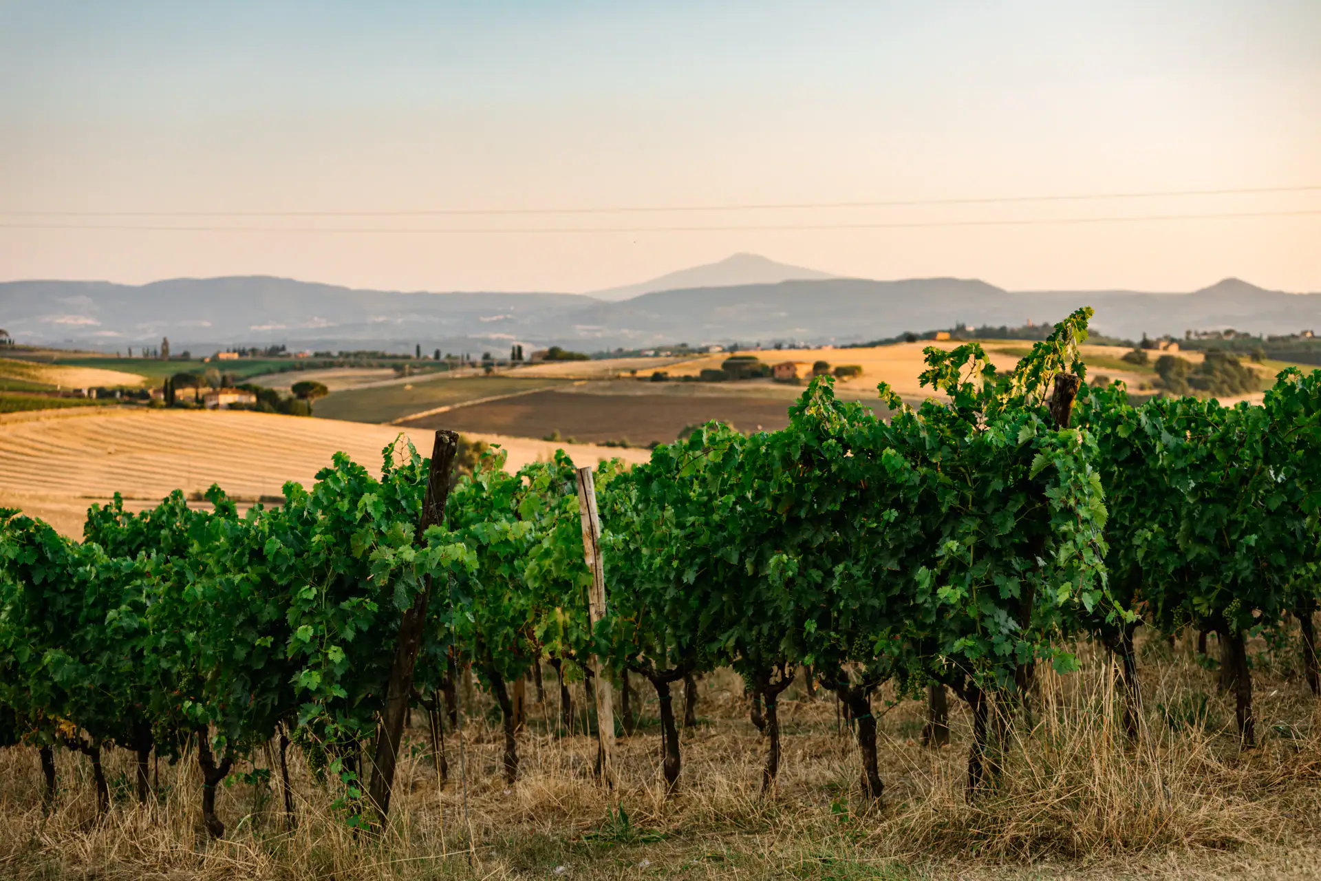 Wine & Dine mit Avignonesi im Landgasthof Adler